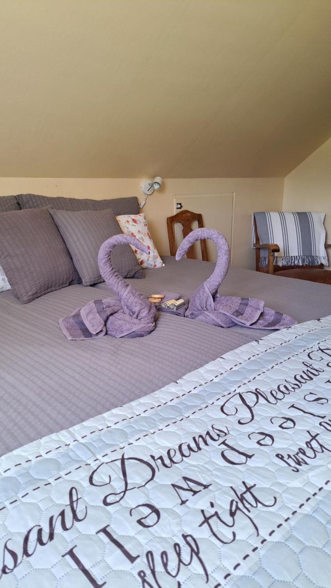 Elvebakk Bed & Breakfast Reed Kültér fotó